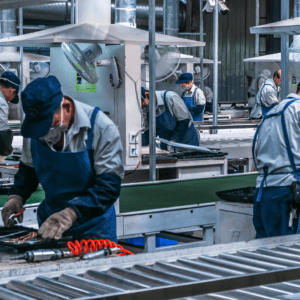 LAVORATORI ALTO – Formazione Generale e Specifica e corsi per lavoratori obbligatori